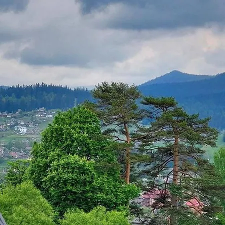 Dom wakacyjny байка карпат *